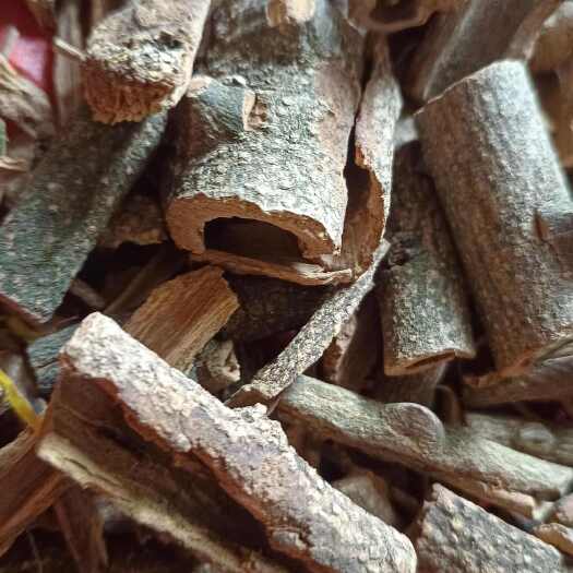 黔西市见血飞 干货 纯皮 飞龙血掌包邮 三百棒 铁打