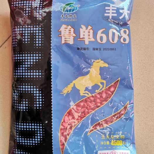 济南鲁单608玉米种   红轴大棒   抗倒 不用打矮长素