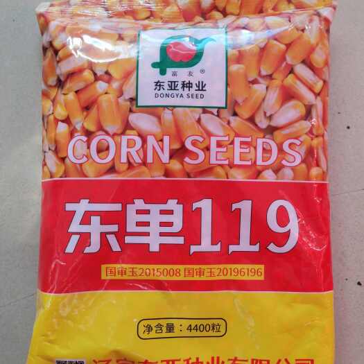 济南东单119玉米种  红轴大棒  产量高  抗倒好  抗病全能