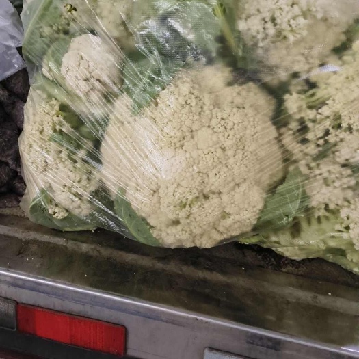 金堂县自种花菜
