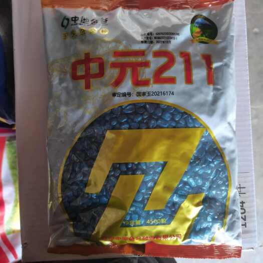 献县中元211