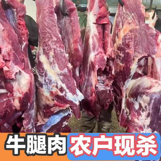 邢台（样品10斤包邮）牛腿肉新鲜现杀黄牛农家散牛肉纯干牛肉