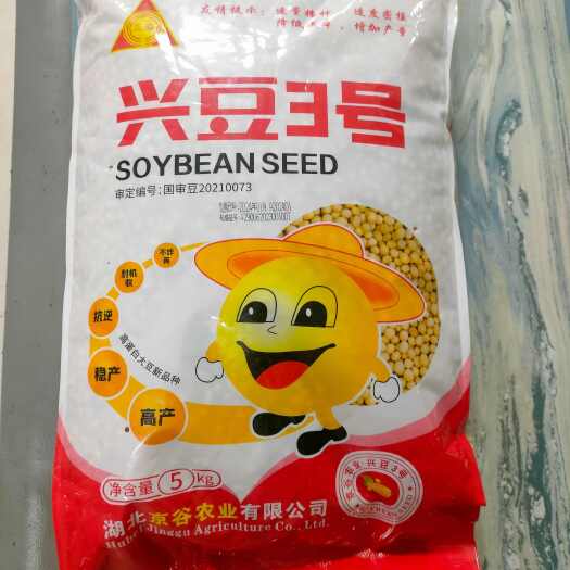 黄豆种子 兴豆3号 高蛋白产量好夏播种植5kg