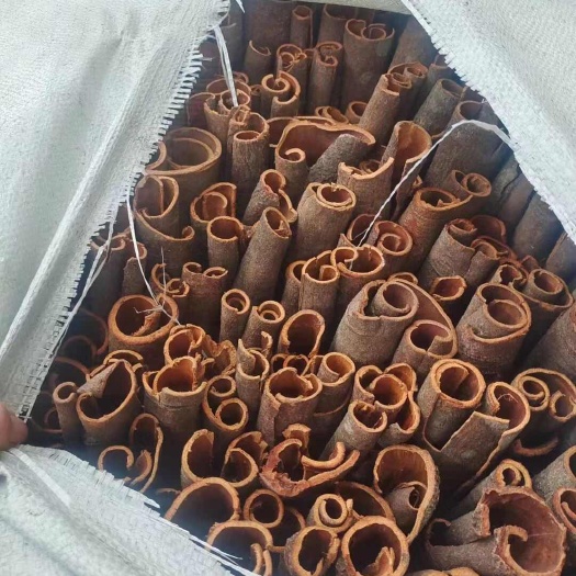 容县新货广西肉桂皮批发一等品桂皮干货深山老林肉桂皮