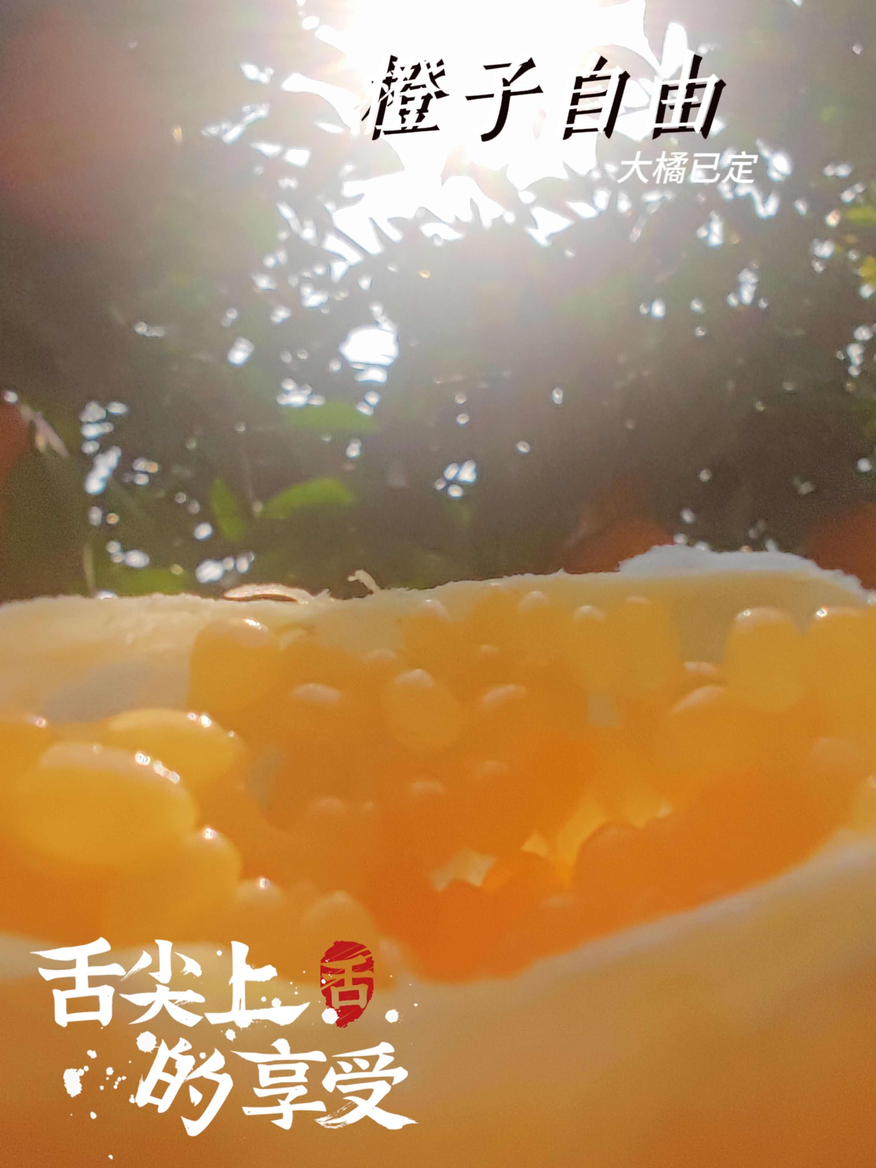 马蹄峰岩甜橙