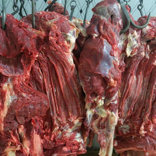 灵璧县生马肉 鲜马肉  新鲜现杀 不肥