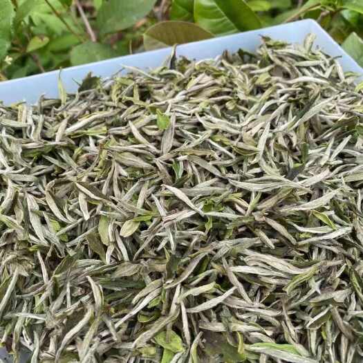 2023年福鼎白茶花香水甜牡丹王500g