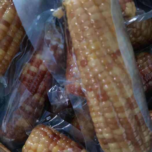 宁洱县花糯玉米、拇指玉米