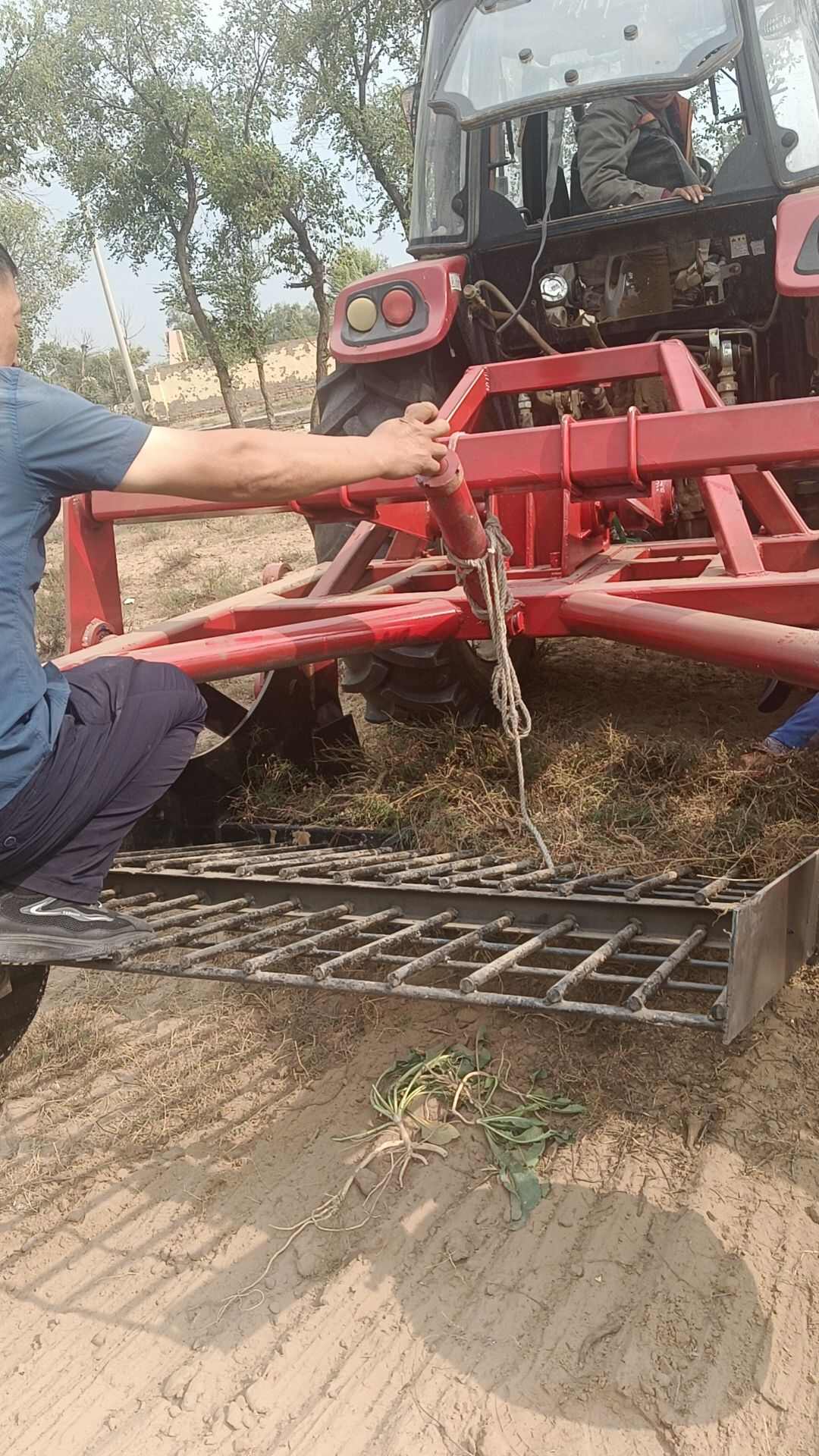 藥材收獲機  板藍根  黃芪  白芷 地黃等根莖類挖藥機器