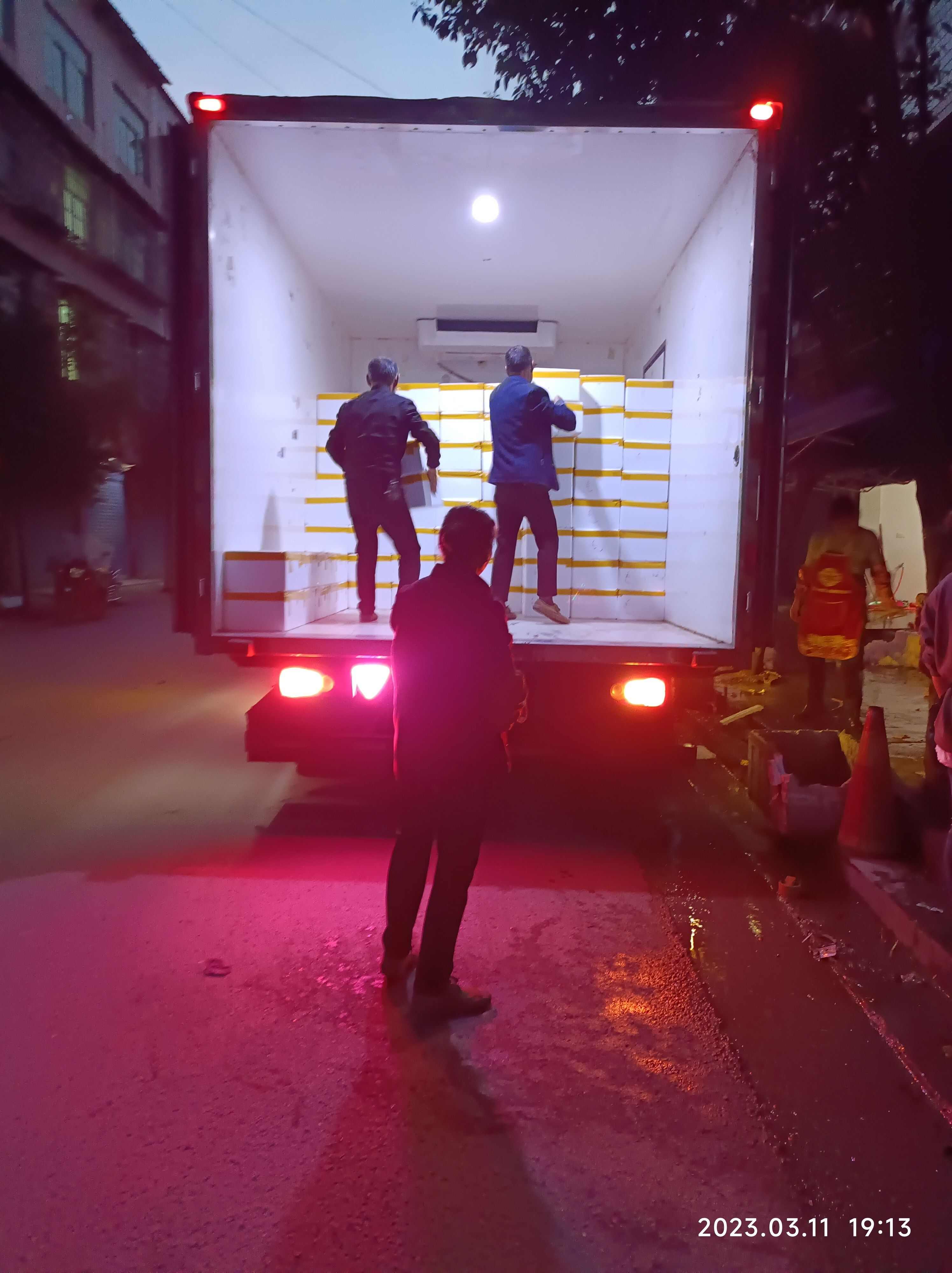 香椿芽 红油香椿芽