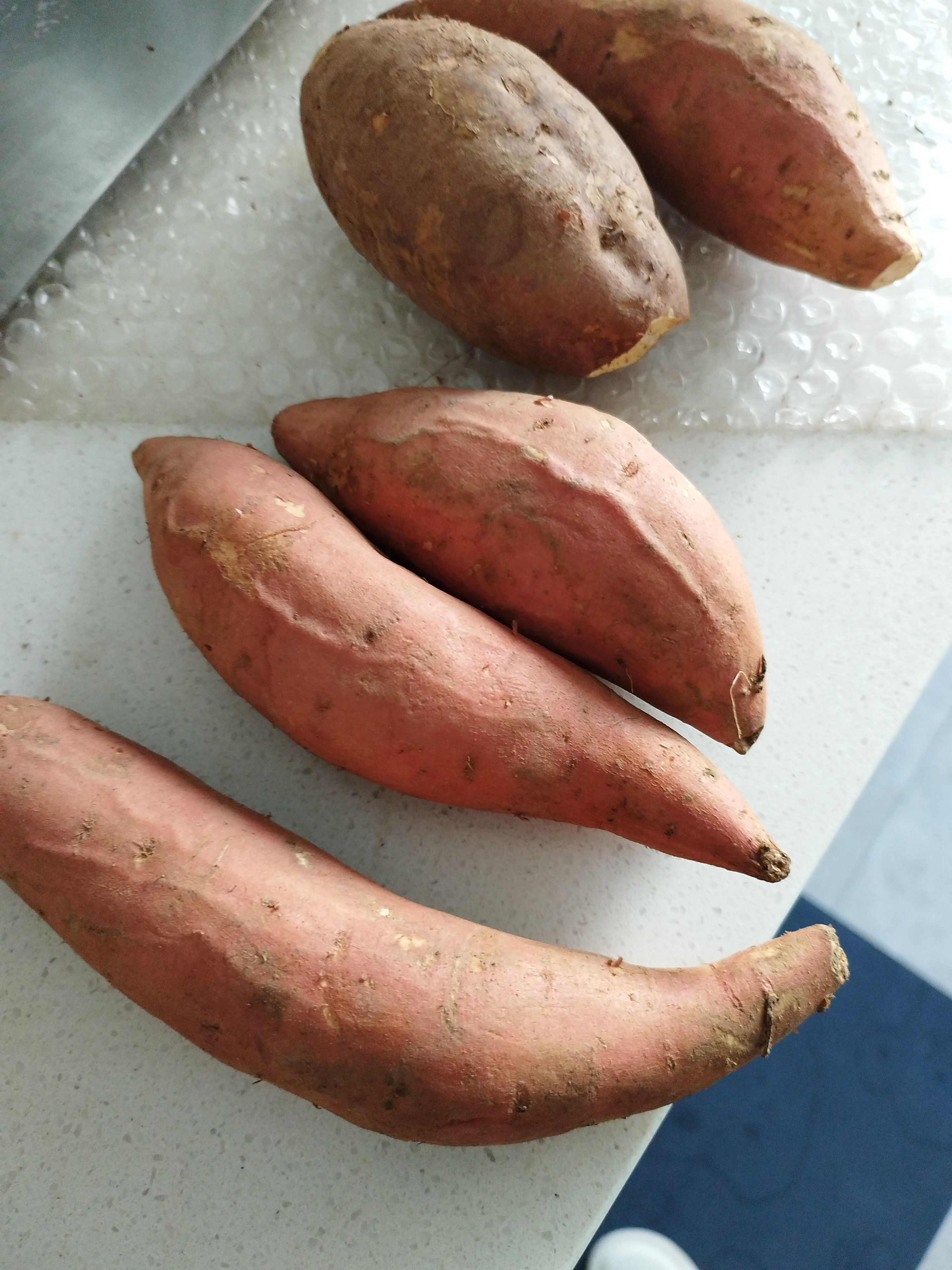 板栗薯