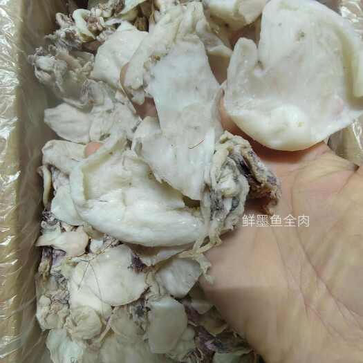 北海墨鱼纯肉微咸肉质清脆深海乌贼可炒煮清蒸煲汤