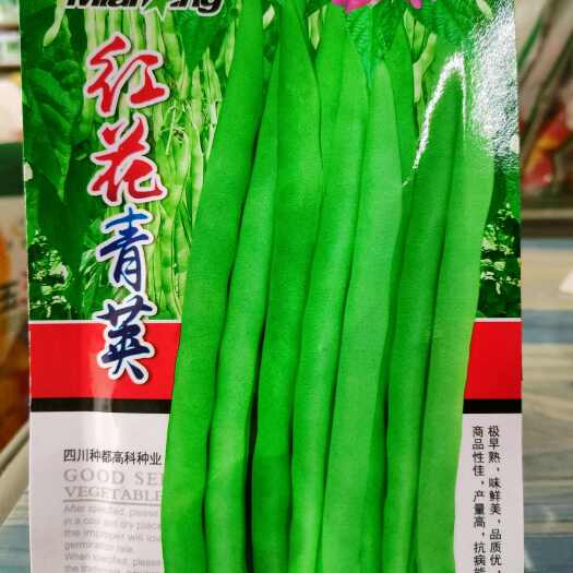 湘乡市四季豆种子 红花青荚搭架四季豆菜豆种子 特早熟豆角豇豆30克