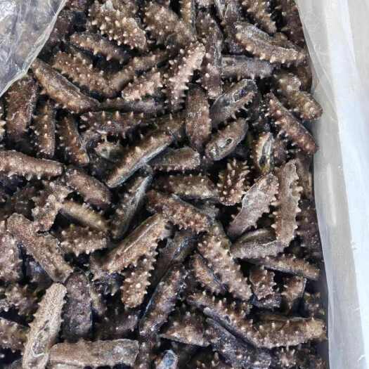 烟台即食海参