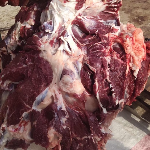 阳信县肥牛卷   牛仔骨   牛肉
