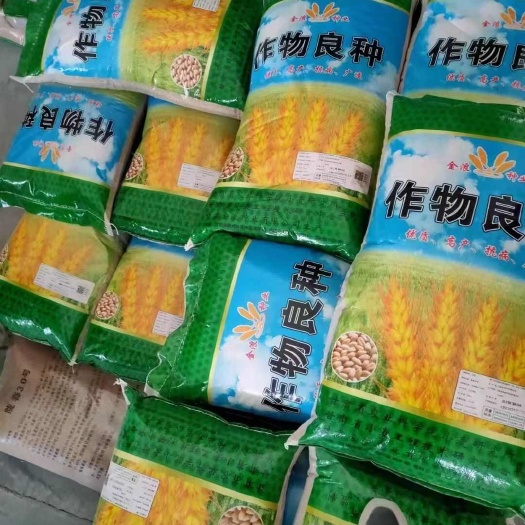 济南春小麦，良种大量到货，有需要的抓紧订购，