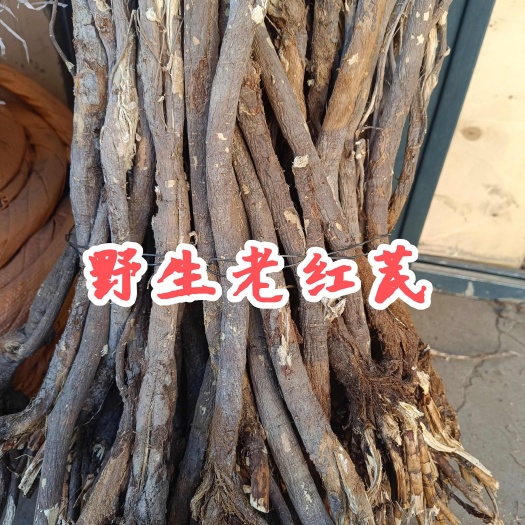 红芪甘肃多年嘢外自然生长老红芪原条