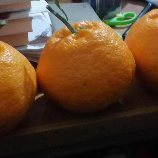 中江县自然成熟耙耙柑，四川中江县永安镇