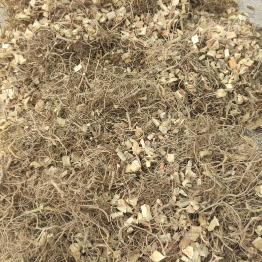 博罗县牛奶树根