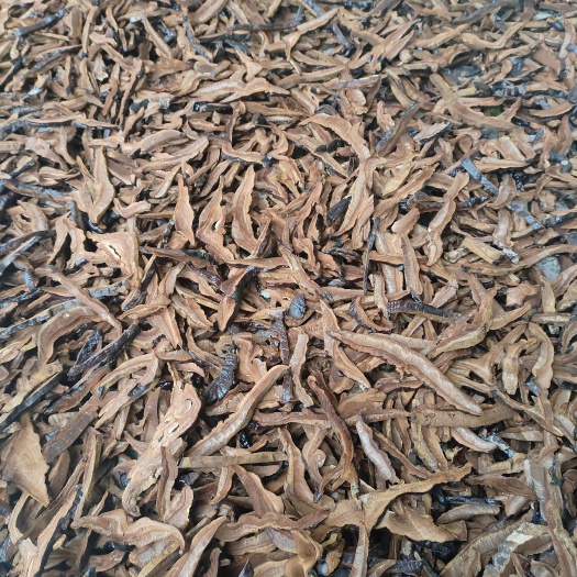 寻乌县江西不苦紫灵芝手工切片产地直发