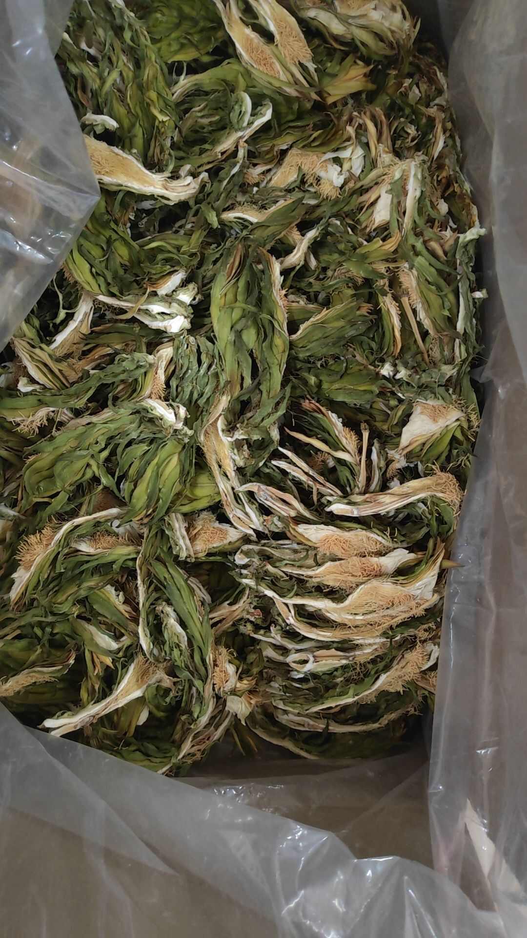 干霸王花（肇庆特产七星剑花）新货大量上市货源充足