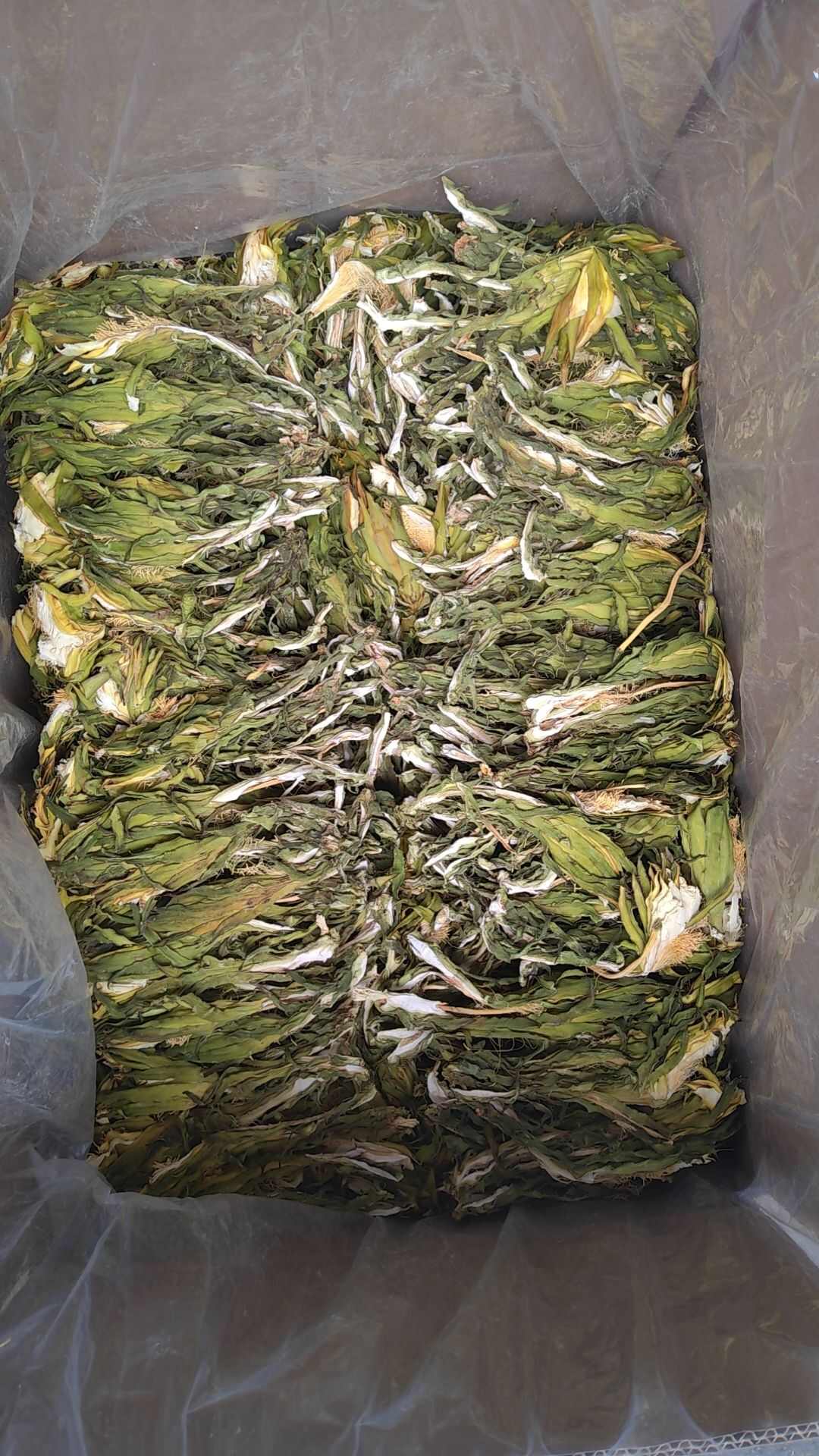 干霸王花（肇庆特产七星剑花）新货大量上市货源充足