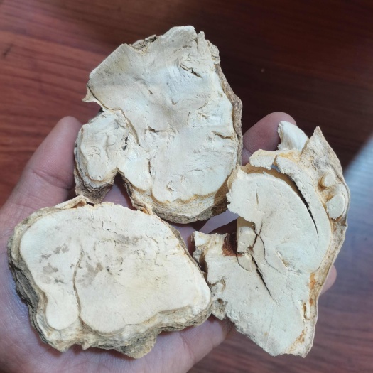 万年参，万年参片干货