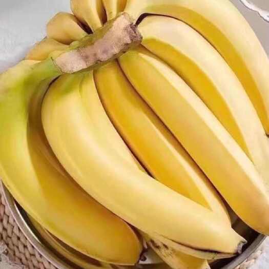 云南高山甜香蕉当季新鲜水果大芭蕉小米蕉甜蕉皇帝蕉整箱