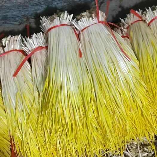 平邑县精品蒜黄自有种植大棚，原产地发货，货源充足。