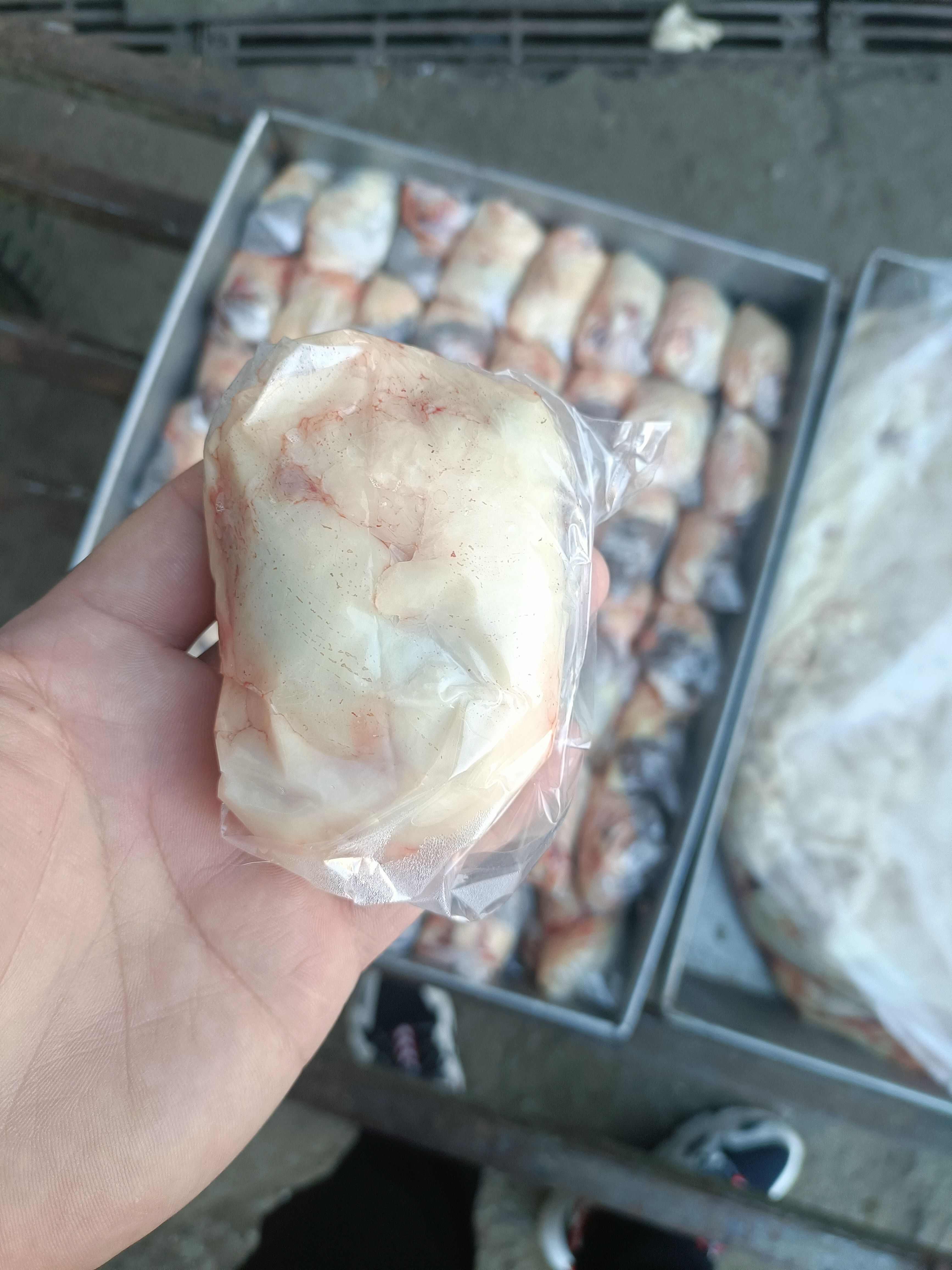 内蒙古锡林浩特大草原溜达羊羊腰子