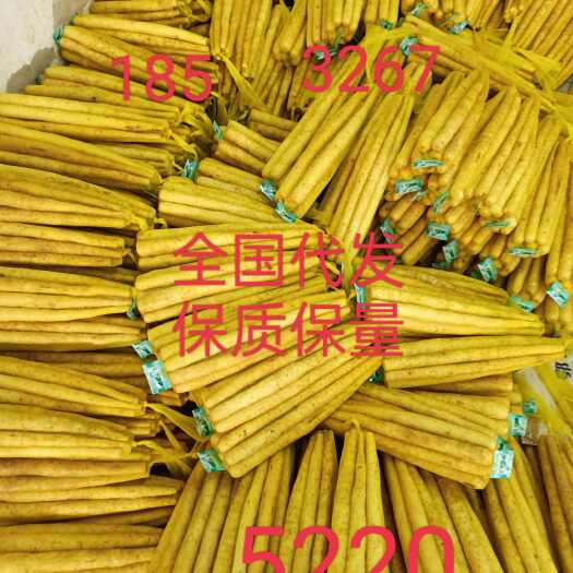蠡县批发铁棍山药双棒小白嘴白山药棒药等代办代发保质保量全国发货