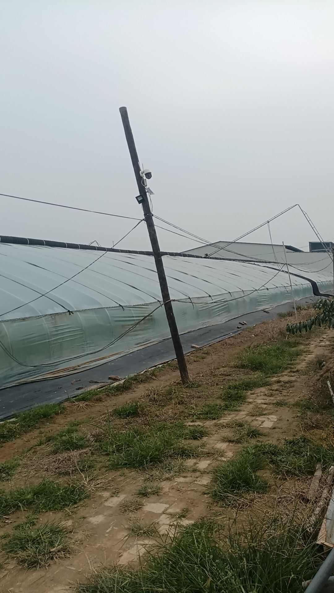 大棚暖棚
