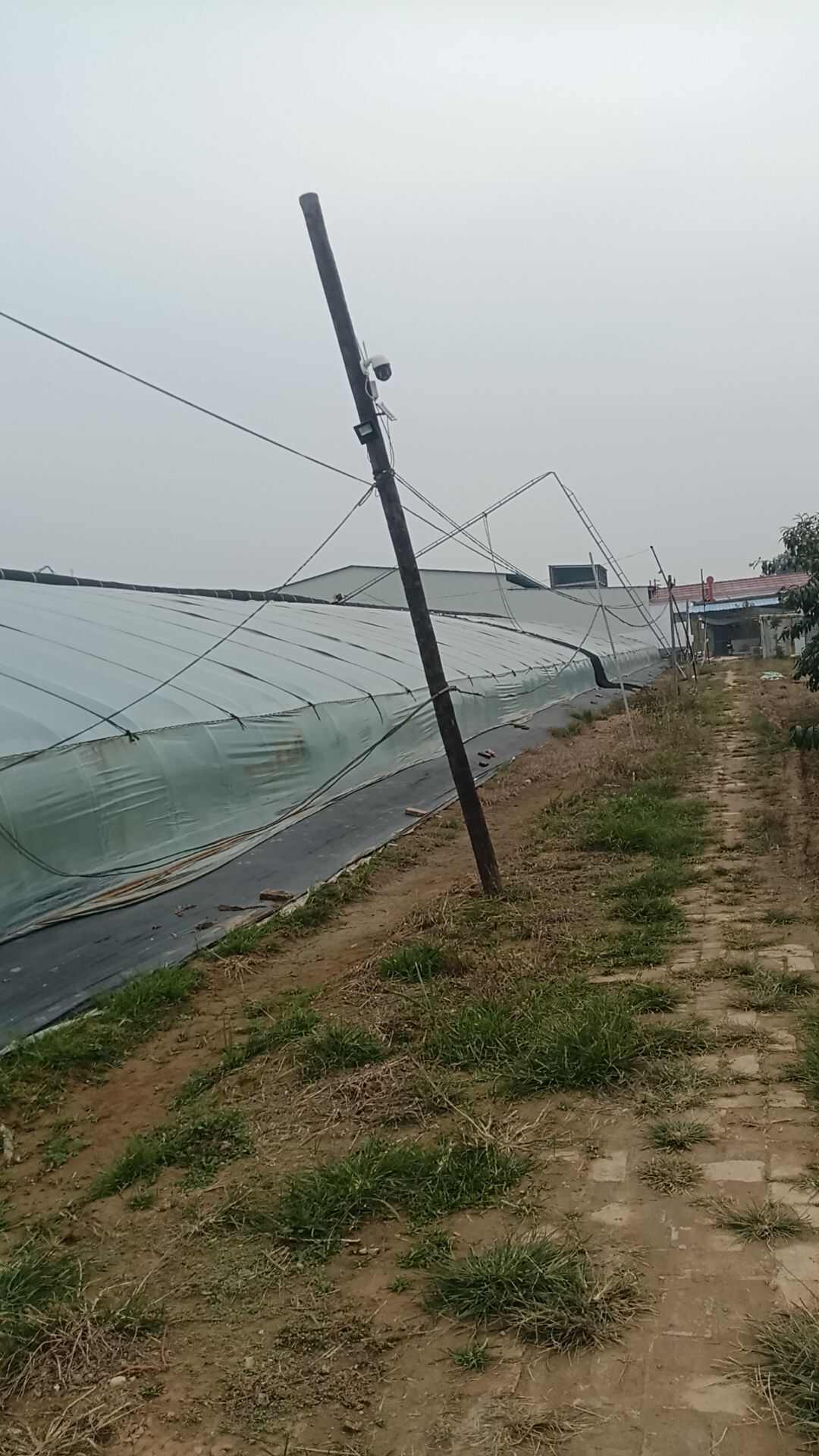 大棚暖棚