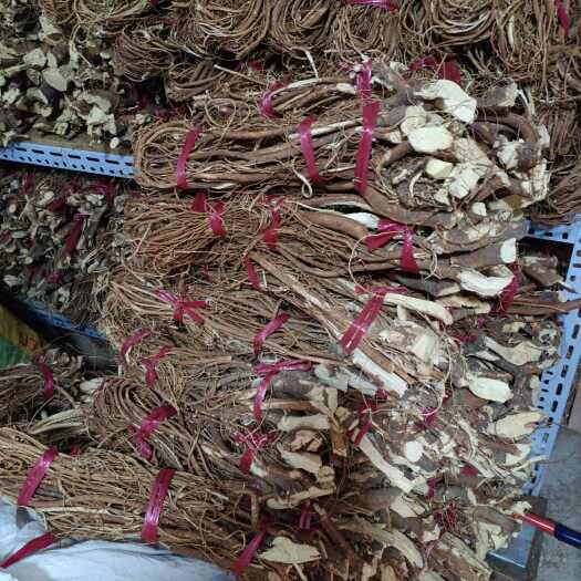 陆丰市50斤起批，种植五指毛桃牛大力