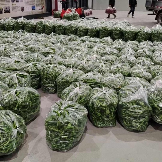 宁都县精品螺丝椒
