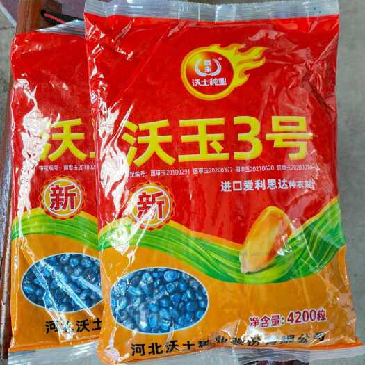聊城沃玉3号玉米种