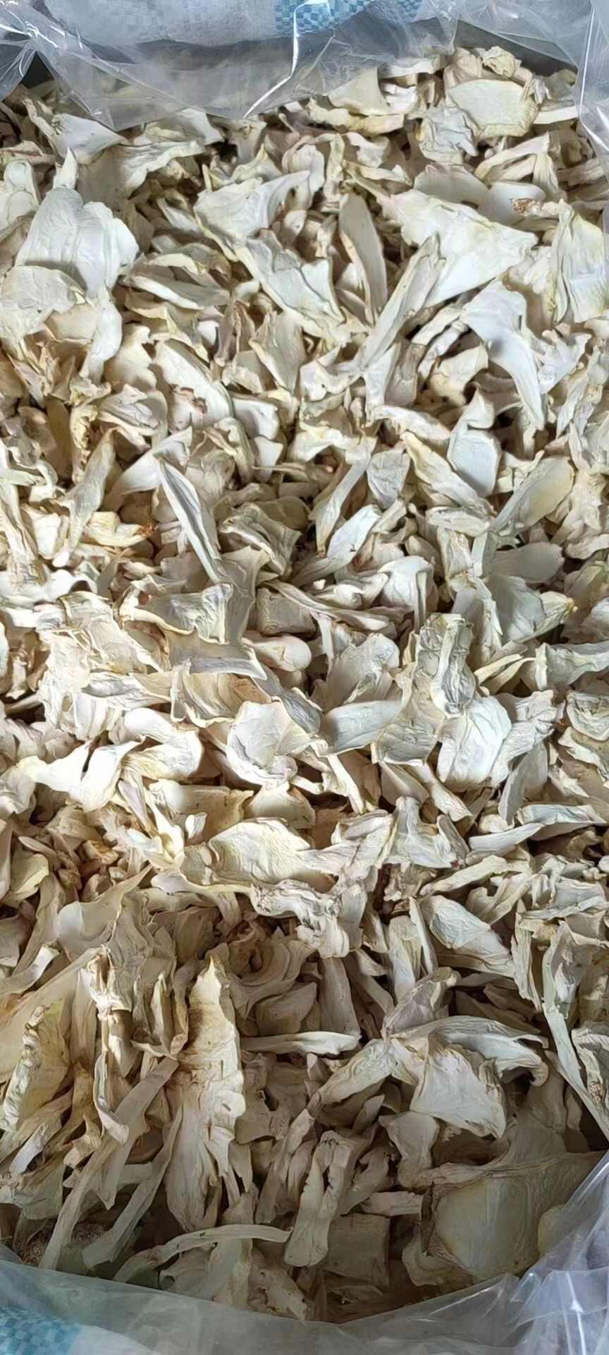 产地直销，杏鲍菇干片干货，农户自产自销，质量保证，优惠价