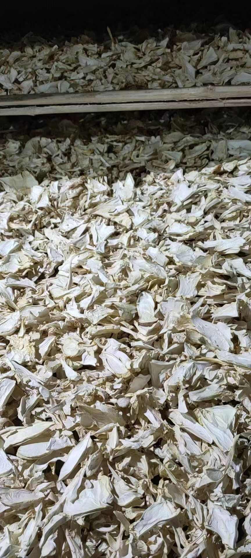 产地直销，杏鲍菇干片干货，农户自产自销，质量保证，优惠价