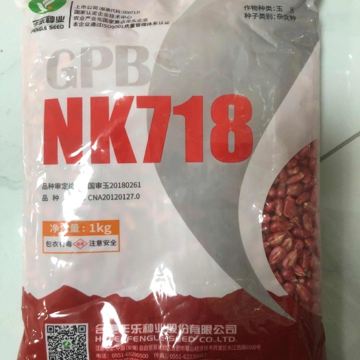 常德NK718玉米种子