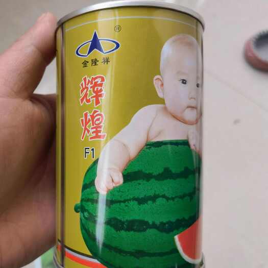 夏邑县辉煌西瓜种子，中早熟，椭圆形，大红瓤，细脆多汁味甜，耐贮运