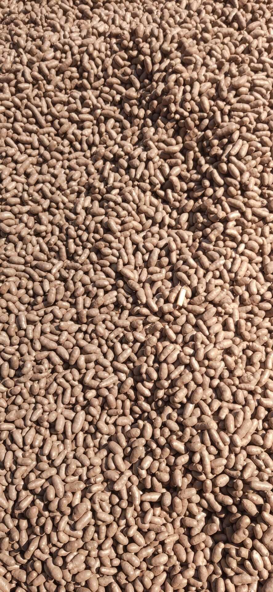 紫山药豆，糖葫芦炒雪球，软糯香甜不易化糖