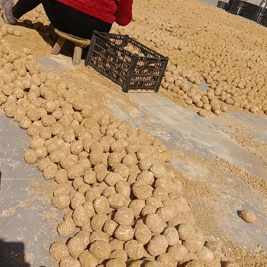 西华县河南大糖心柴鸡蛋变蛋