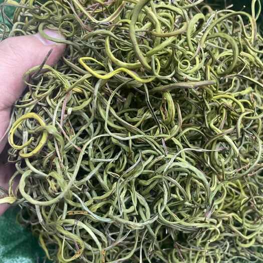 昆明深山化石草