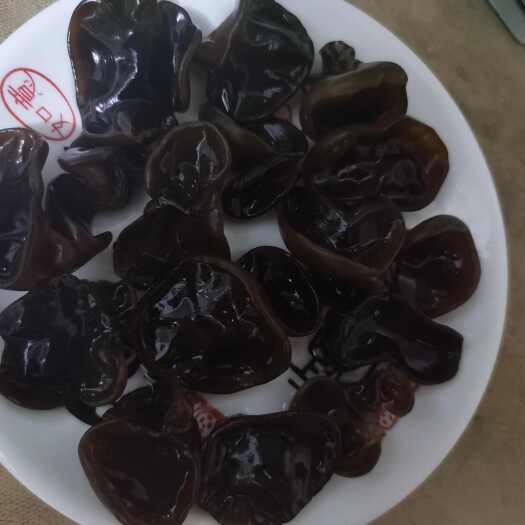 牡丹江木耳批发