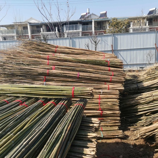 昆山市供应爬藤用竹杆
