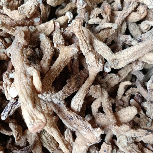 黄精春节优惠福利