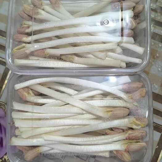 金乡县豌豆苗花生芽