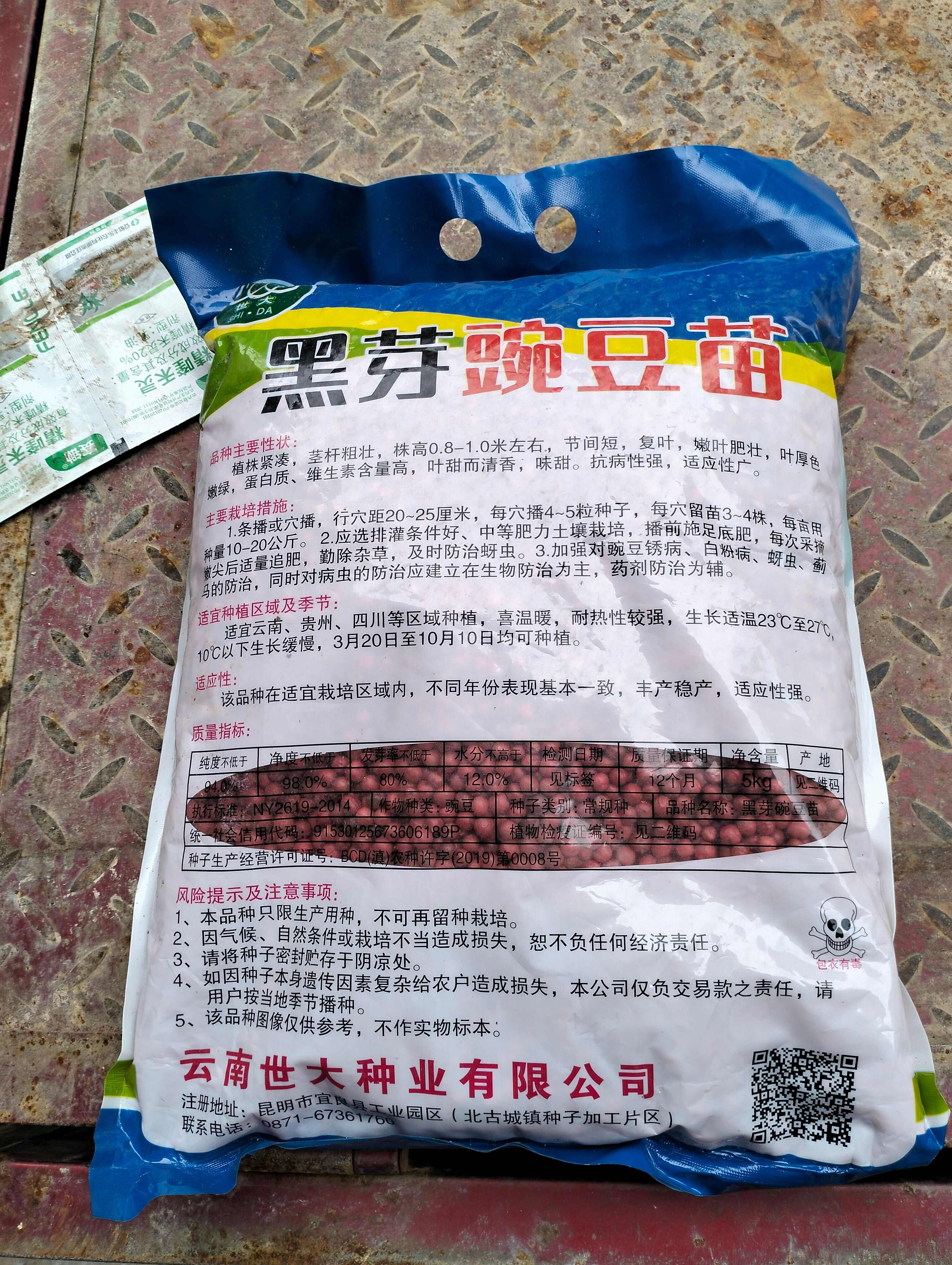 黑眉豌豆，手牌豌豆，专用吃豌豆尖、豌豆苗豌豆，越采越旺