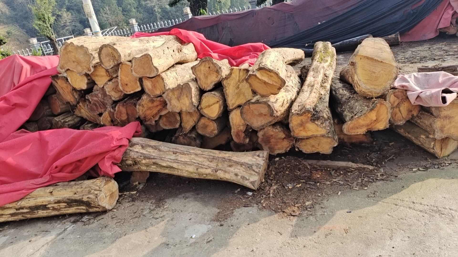 一批优质榨榛，物美价廉