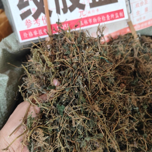 广西壮乡绞股蓝野绞股蓝 七叶绞股蓝茶
